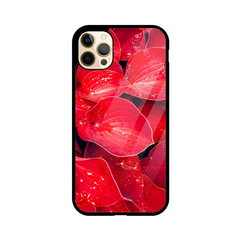 Crimson Dew | Glass iPhone Case