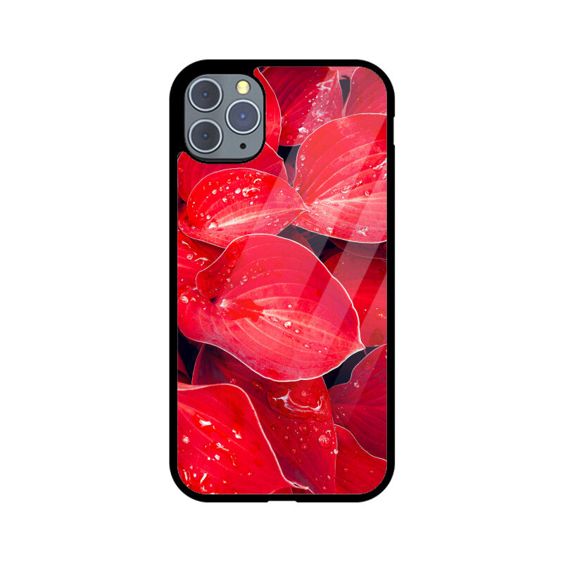 Crimson Dew | Glass iPhone Case