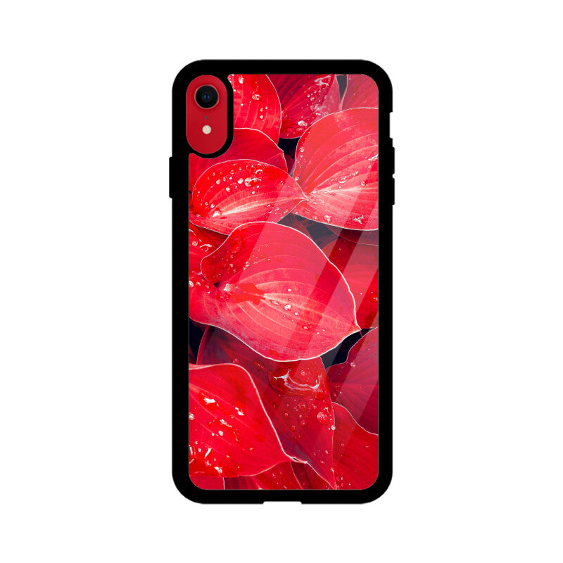 Crimson Dew | Glass iPhone Case