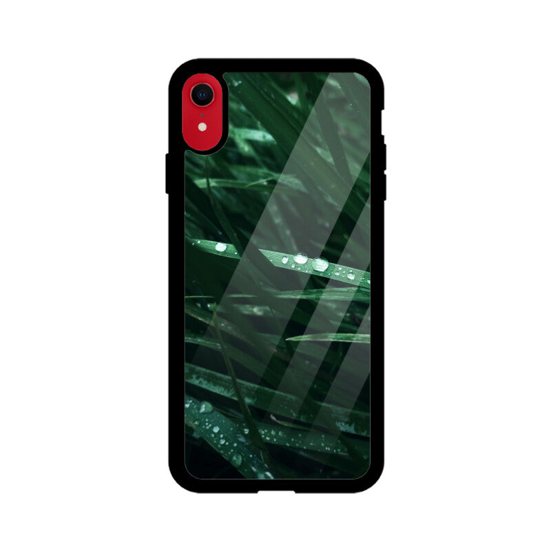 Dew-Kissed Green | Glass iPhone Case