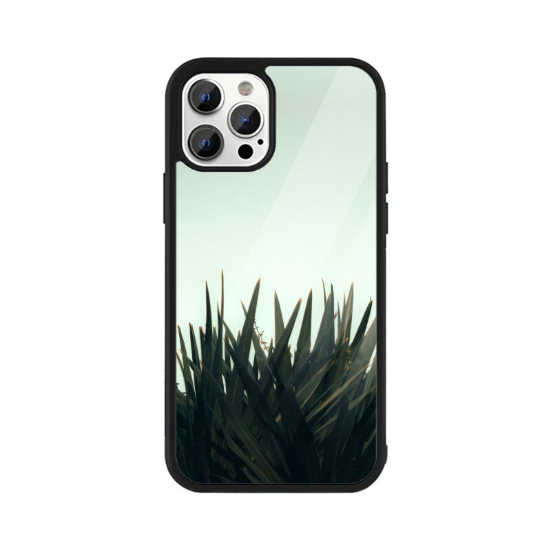 Skyward Succulent | Glass iPhone Case