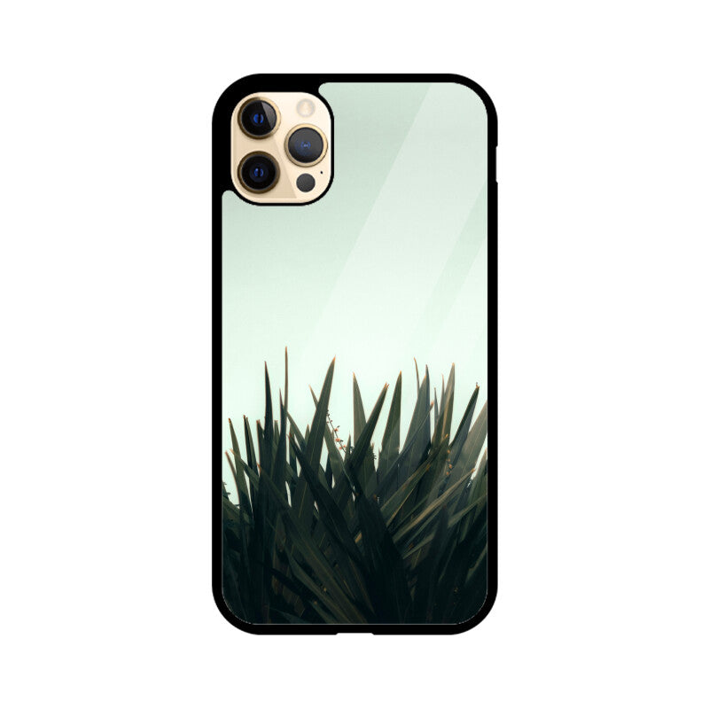 Skyward Succulent | Glass iPhone Case