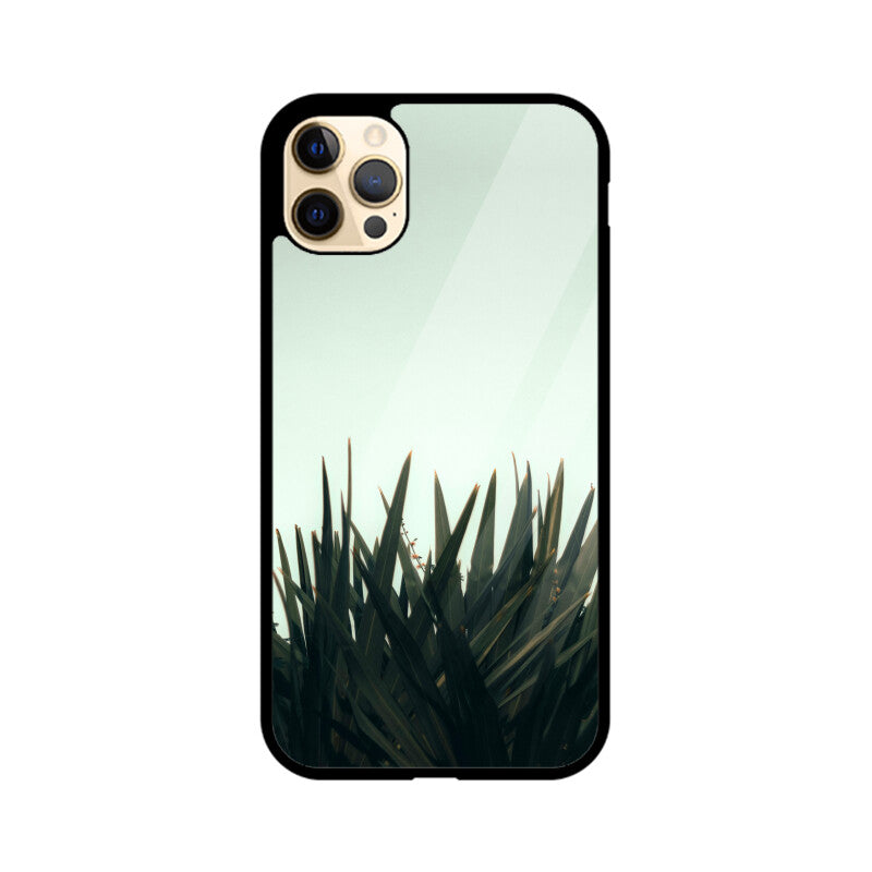 Skyward Succulent | Glass iPhone Case