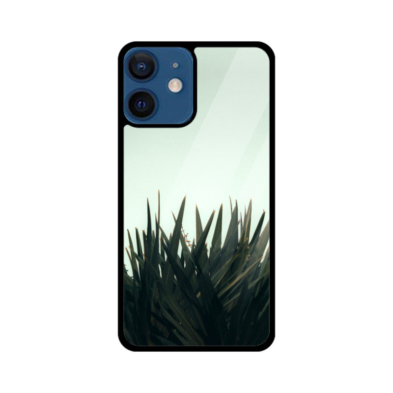 Skyward Succulent | Glass iPhone Case