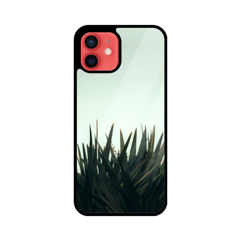 Skyward Succulent | Glass iPhone Case