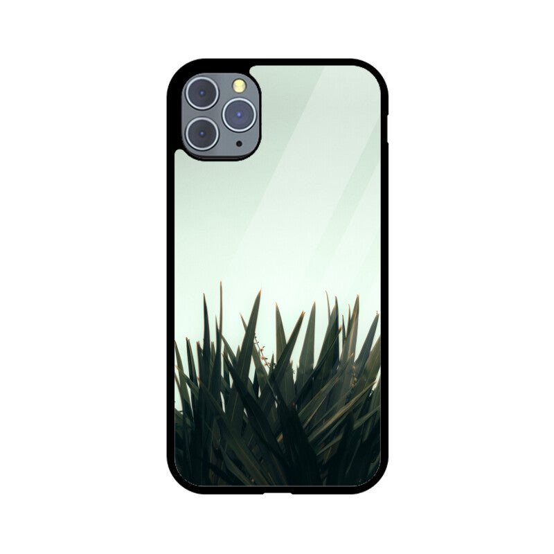 Skyward Succulent | Glass iPhone Case