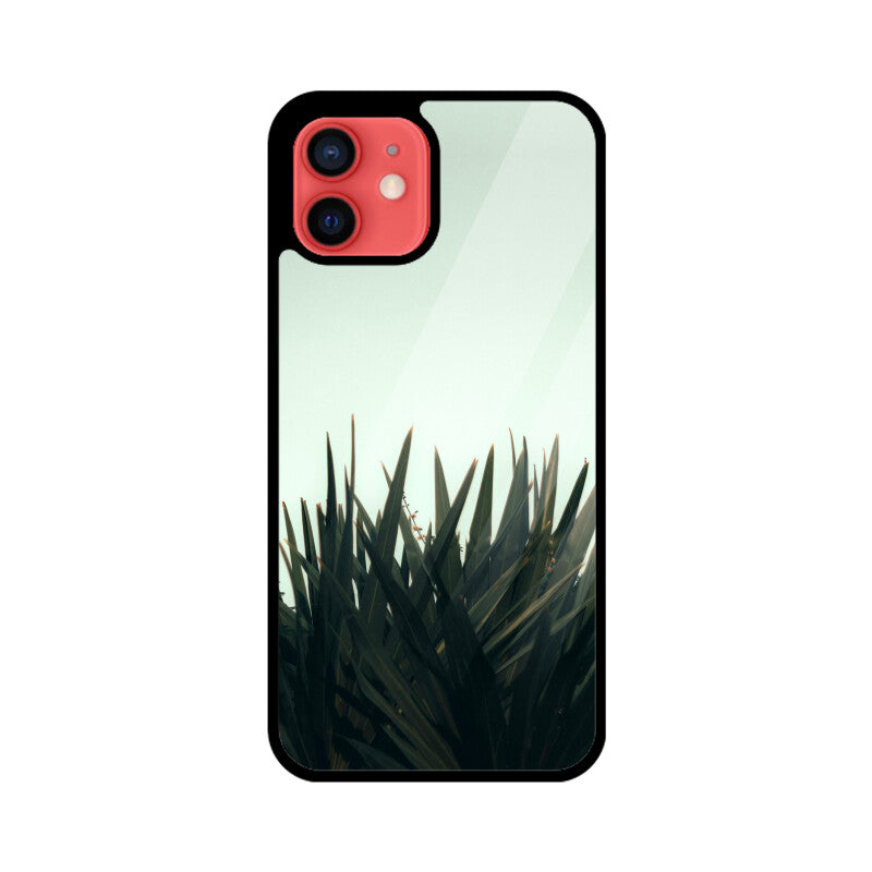 Skyward Succulent | Glass iPhone Case