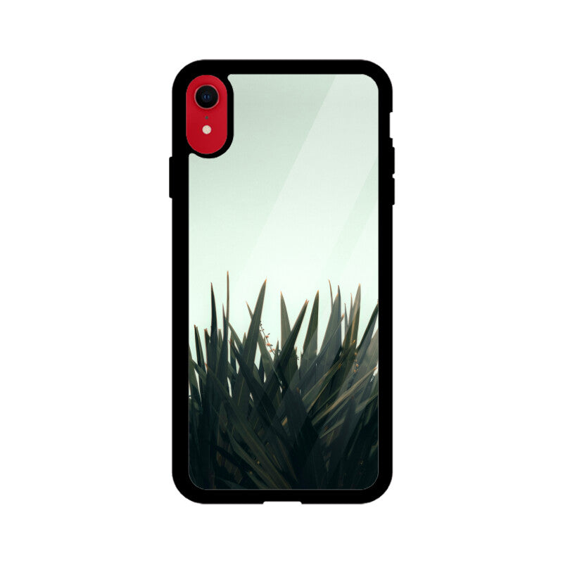 Skyward Succulent | Glass iPhone Case