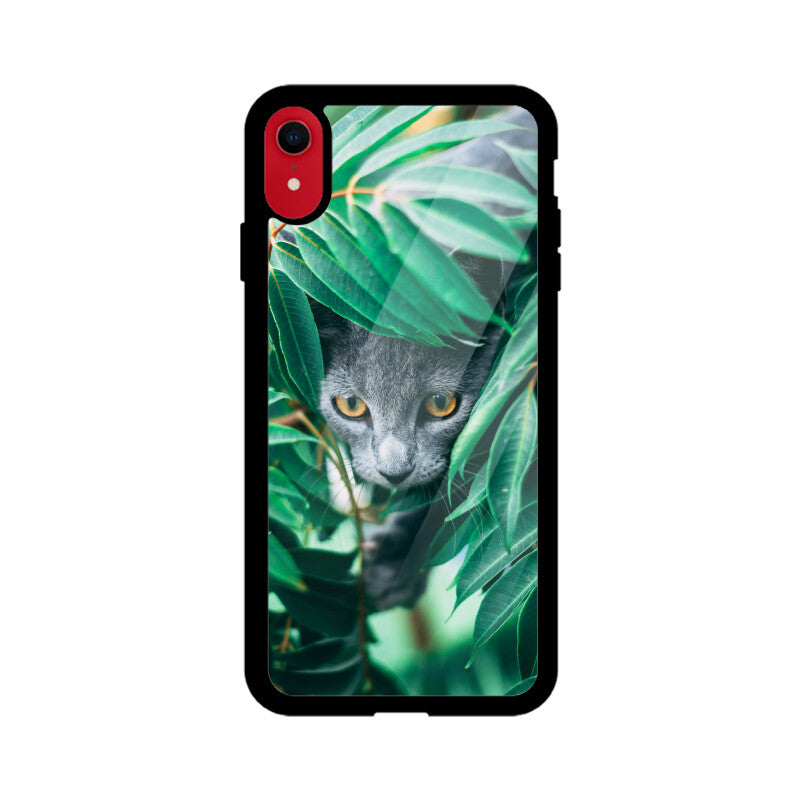 Feline in Foliage | Glass iPhone Case