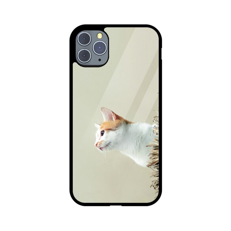 Calico Curiosity | Glass iPhone Case