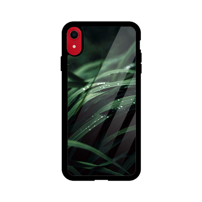 Dewy Verdure | Glass iPhone Case