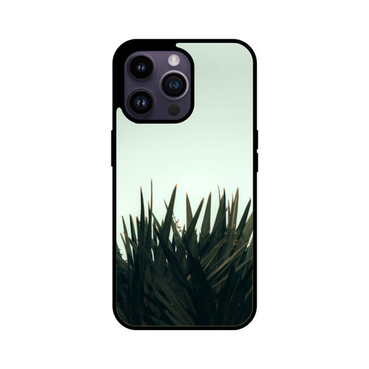 Skyward Succulent | Glass iPhone Case