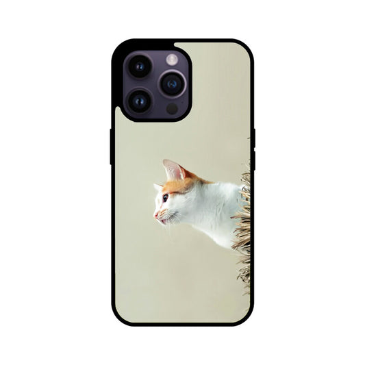 Calico Curiosity | Glass iPhone Case