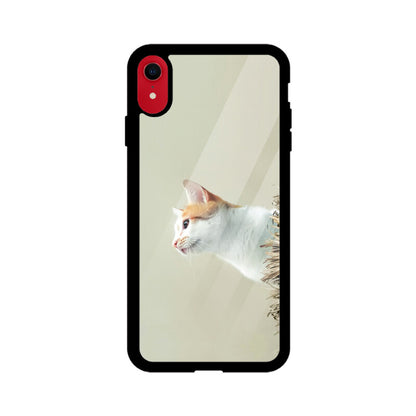 Calico Curiosity | Glass iPhone Case