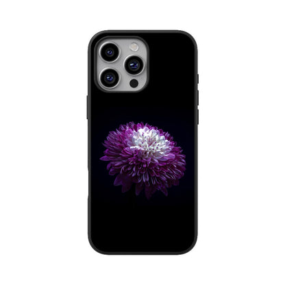 Front View - 5216062