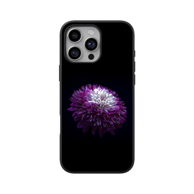 Front View - 5216064